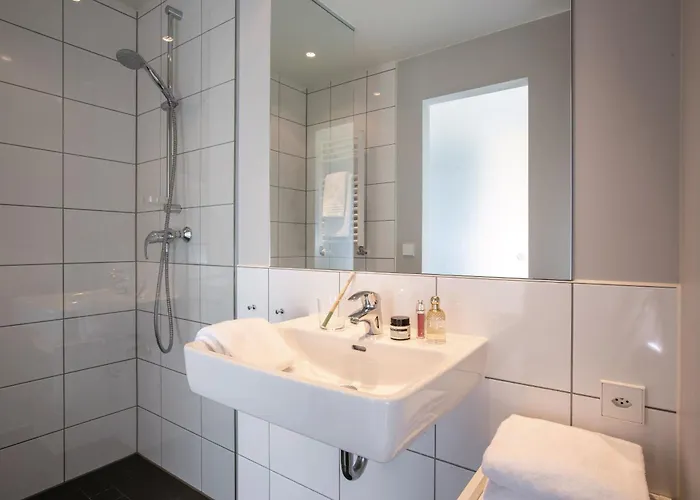 فندق ذا فلاغ زيورخ