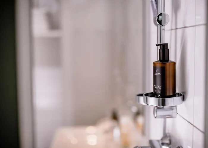 ذا فلاغ زيورخ