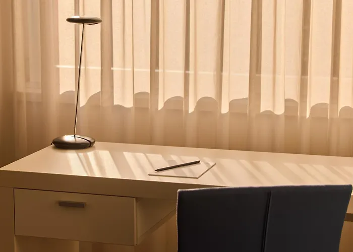 فندق ذا فلاغ