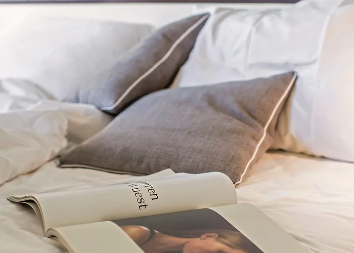 فندق ذا فلاغ زيورخ