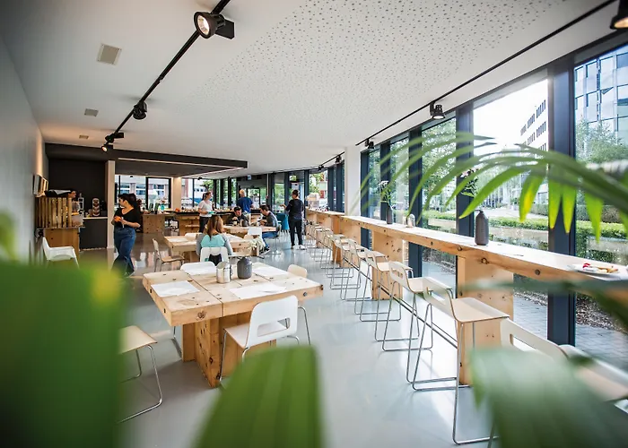 فندق ذا فلاغ