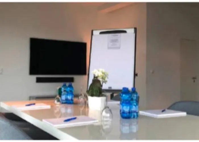 ذا فلاغ 3* زيورخ