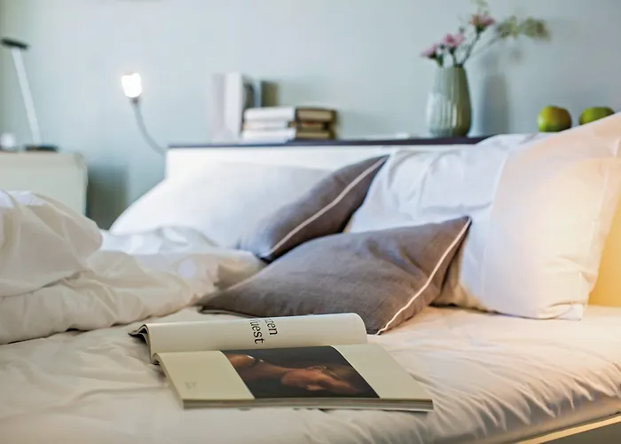 苏黎世旗帜酒店 3* 苏黎世